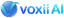 Voxii AI Team